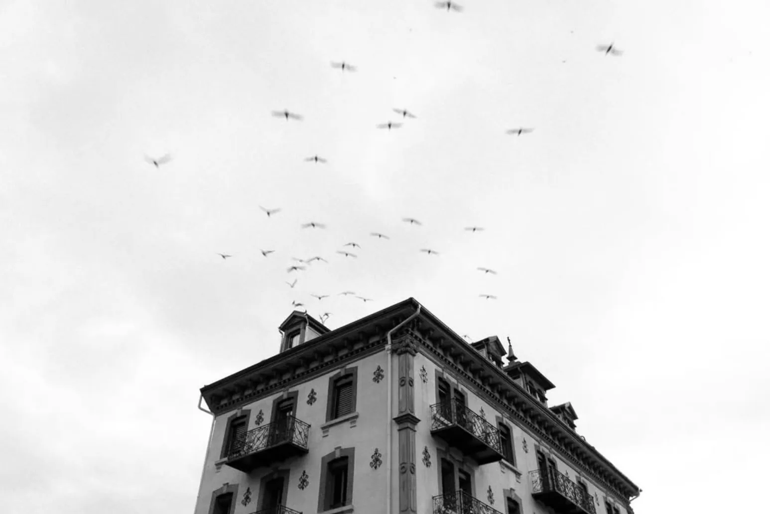 Photograph by Min — 1 of 21