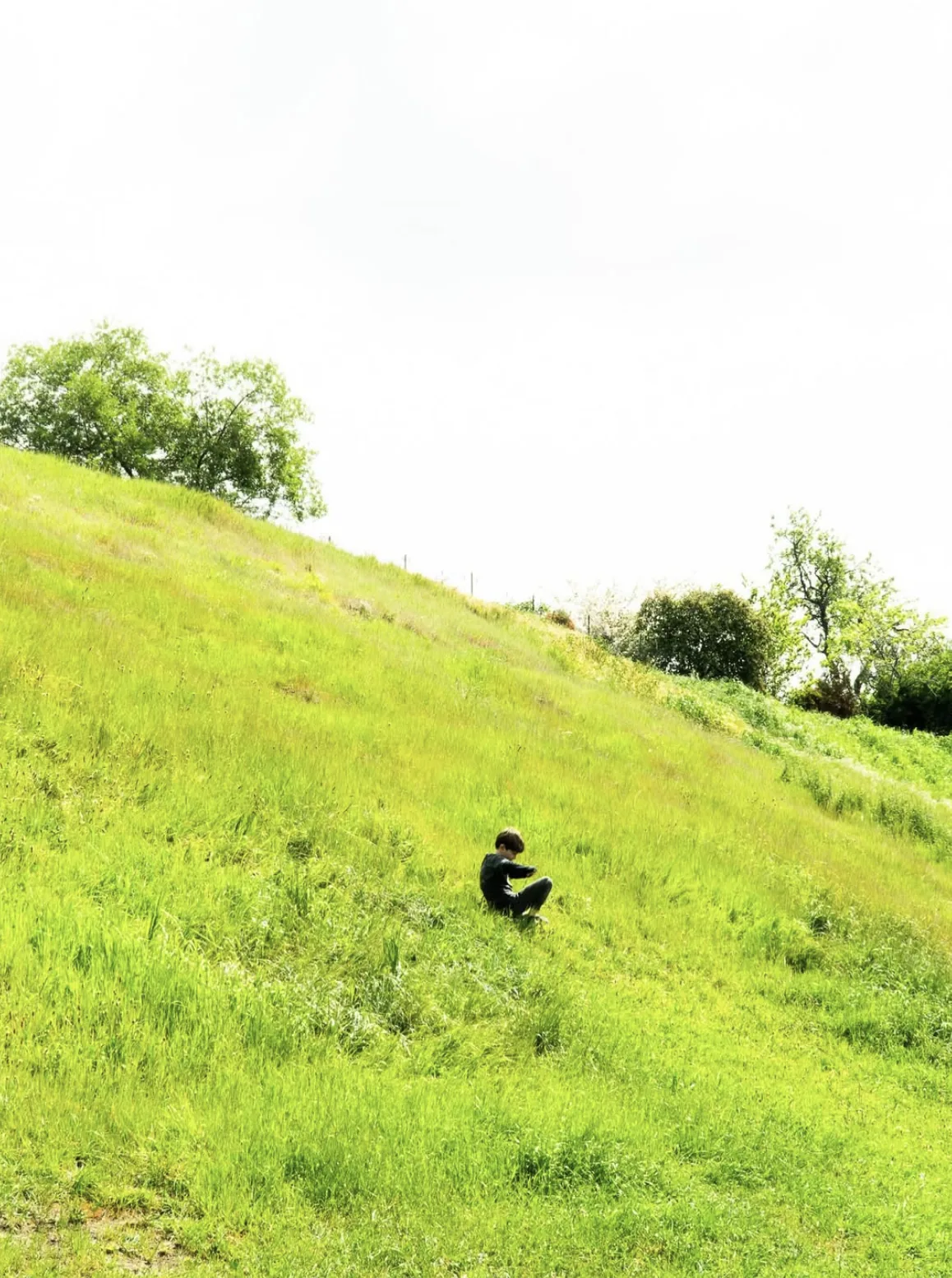Photograph by Min — 8 of 21